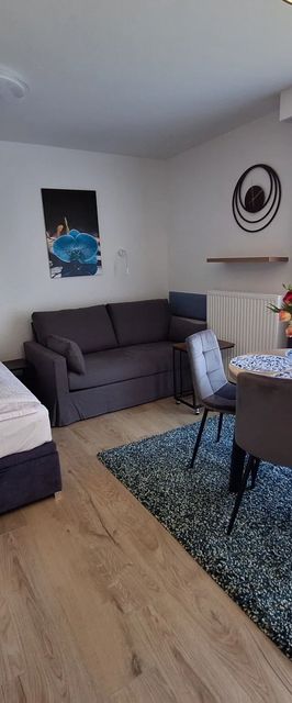 Apartament Centrum Parking-28m Storczyk Krynica-Zdrój