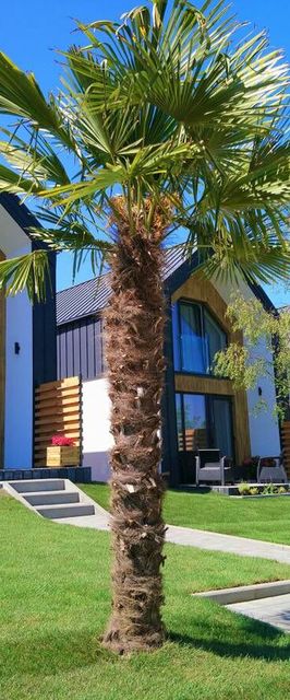 La Palma Władysławowo