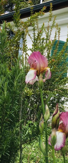 PajtaBagoly Vendégház Nemesvita