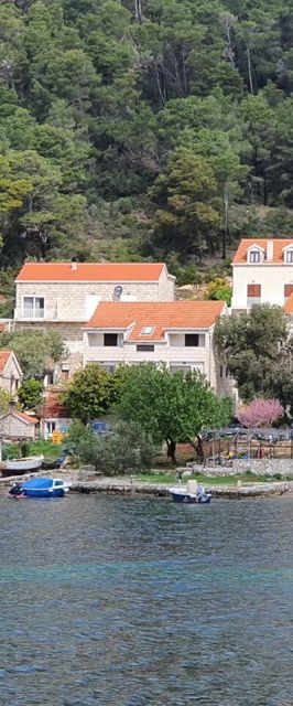 Apartmani Pjevalo Mljet