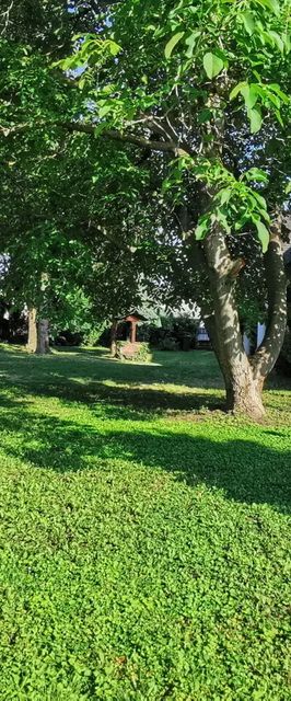 Tulipános Ház Velence