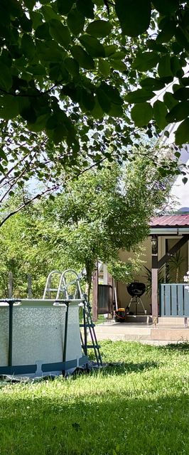 Torzsás Horgászkuckó Gyomaendrőd