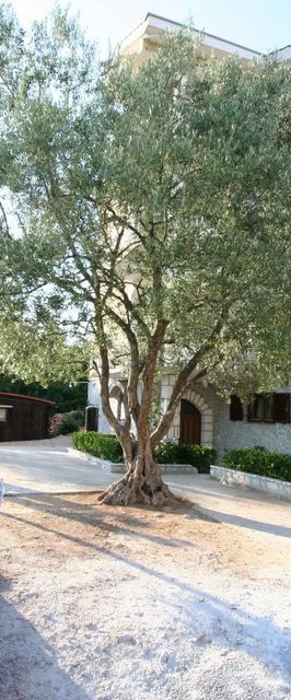 Apartments Vrban Silo