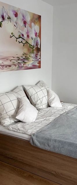 Pod Lipówkami Olsztyn