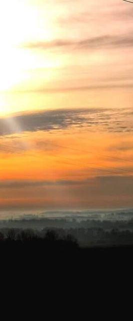 Tenkes-hegyi Vendégház Siklós