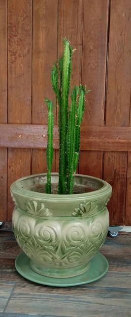 Hangulatos Kis Lakás Apartman Szeged