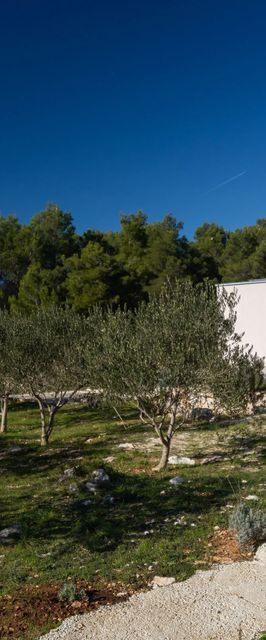 House Olive Eden Milna