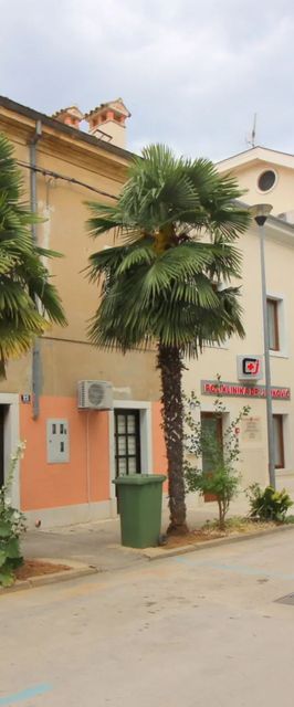 Apartment Noemi Porec