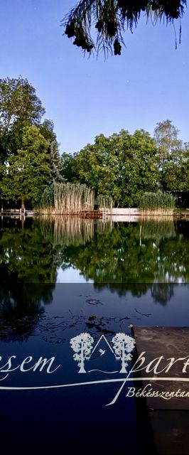 Füzesem Apartman Békésszentandrás