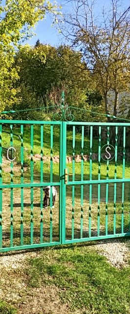 Éva Apartman Ábrahámhegy