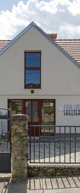 4CatsShelter Apartman Cák