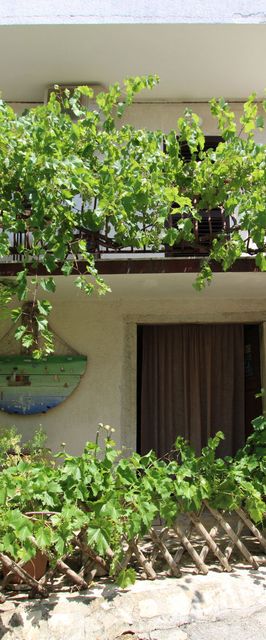 Apartmani Sonnenblume Funtana