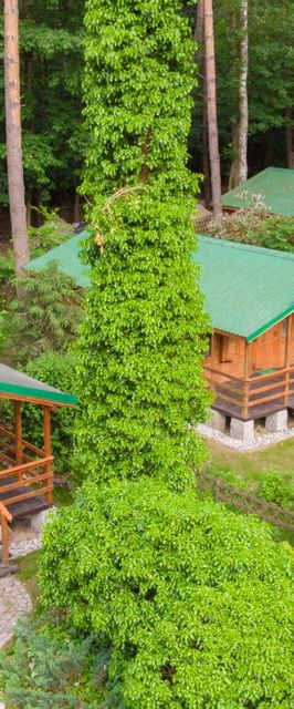 Ośrodek Puszczyk Sieraków Domki drewniane z Bali