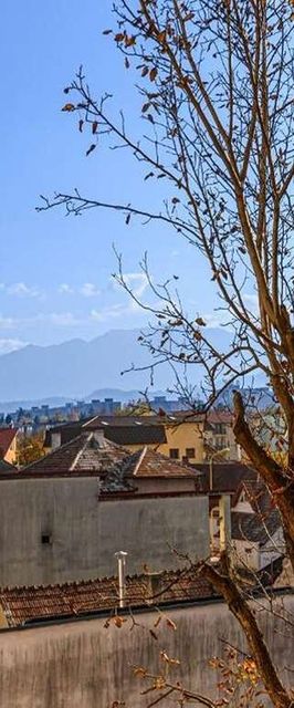 JAD - Family Apartments & Studios Brașov