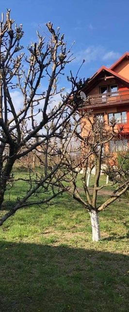 Casa Cristina Gura Humorului 