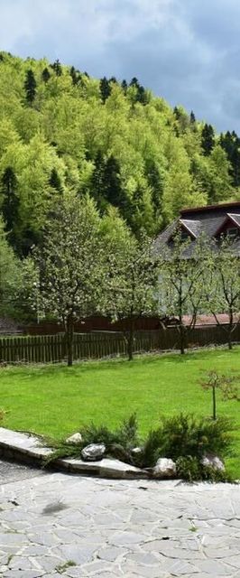 Casa Edelweiss Sinaia