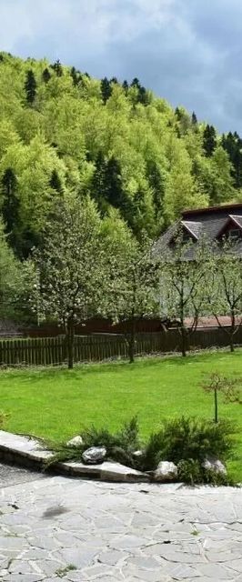 Casa Edelweiss Sinaia