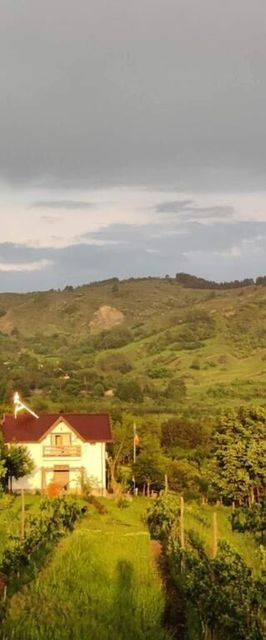 Deleni Retreat - Casa Sitaru