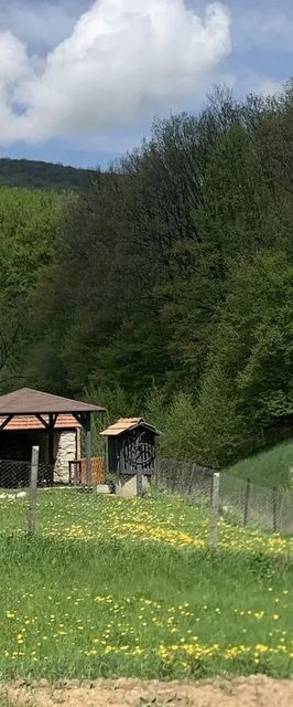 Gemini Vendégház Répáshuta