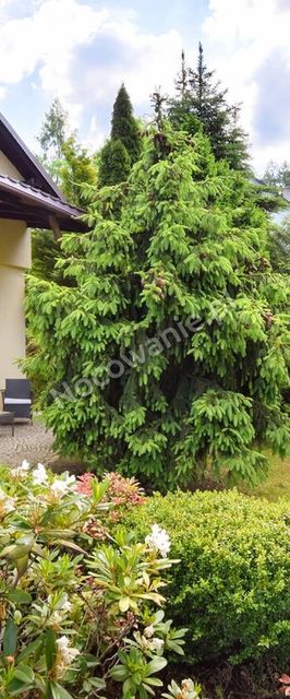 Willa EDEN Kudowa-Zdrój