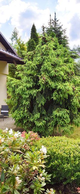 Willa EDEN Kudowa-Zdrój