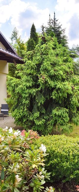 Willa EDEN Kudowa-Zdrój