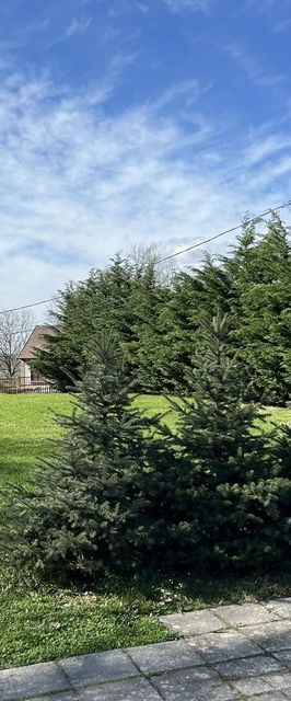 MeLau Termál Üdülő