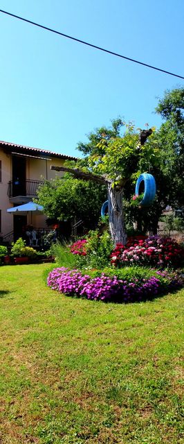 Apartment Fero Porec