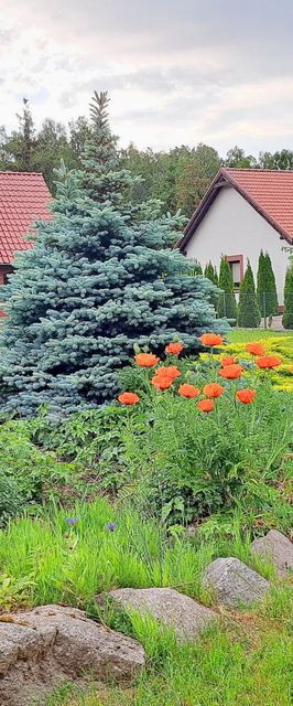 Rodzinny dom gościnny