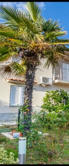 Apartments Eleonora Baška