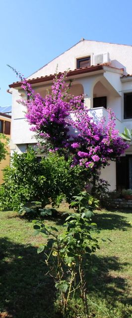 Apartments Samara Porec