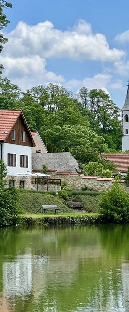 Chalupa nad rybníkem Straškov-Vodochody