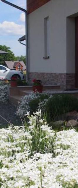 Domki, apartamenty Przy Maków Polnych, Karkonosze, Karpacz