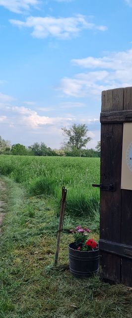 Múltidéző Tanya Csongrád