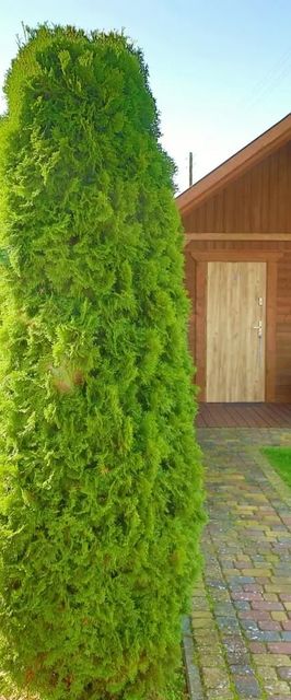 Domki Lubin Międzyzdroje 