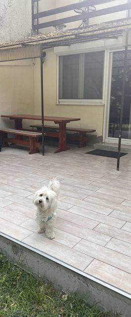 Happy House Zamárdi 