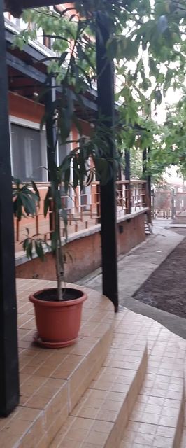 Vila Flora Costinești