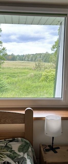 Dom nad morzem Pleśna