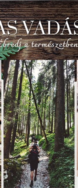 Hársas Vadászház Somogytúr