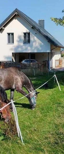 Apartmán pod Hlavaticí Turnov