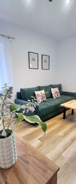 Apartament Dzika Róża Kowary
