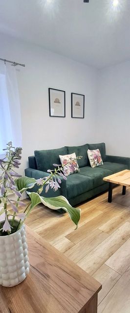 Apartament Dzika Róża Kowary