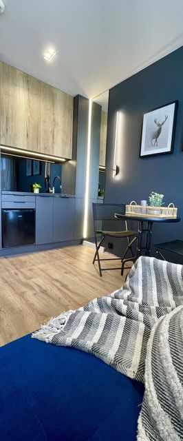 Apartament CTS Górski Kryształ Ustroń