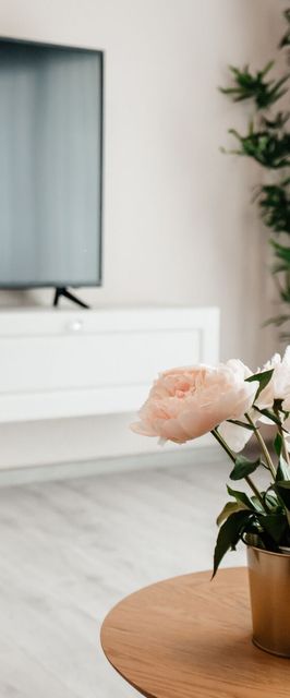 Sunset View Apartment Oradea