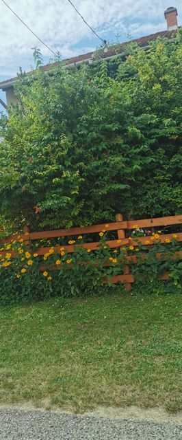 Balatoni Fészek Apartman Balatonalmádi