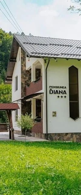Pensiunea Diana Moisei