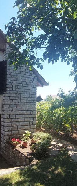 Szóló Szőlő Vendégház