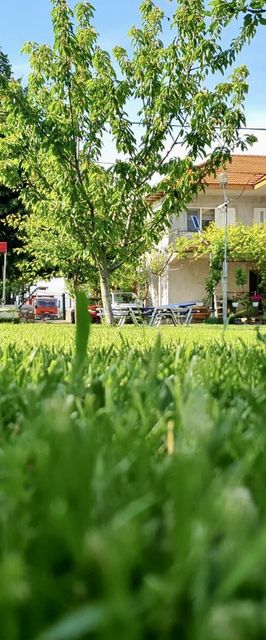 Pensiune GreenYard Vama Veche