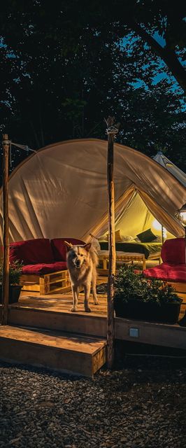 Green Hill Lodge Porumbacu de Sus