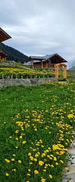 Tabere Cazare Măgura Bucovinei Frumosu